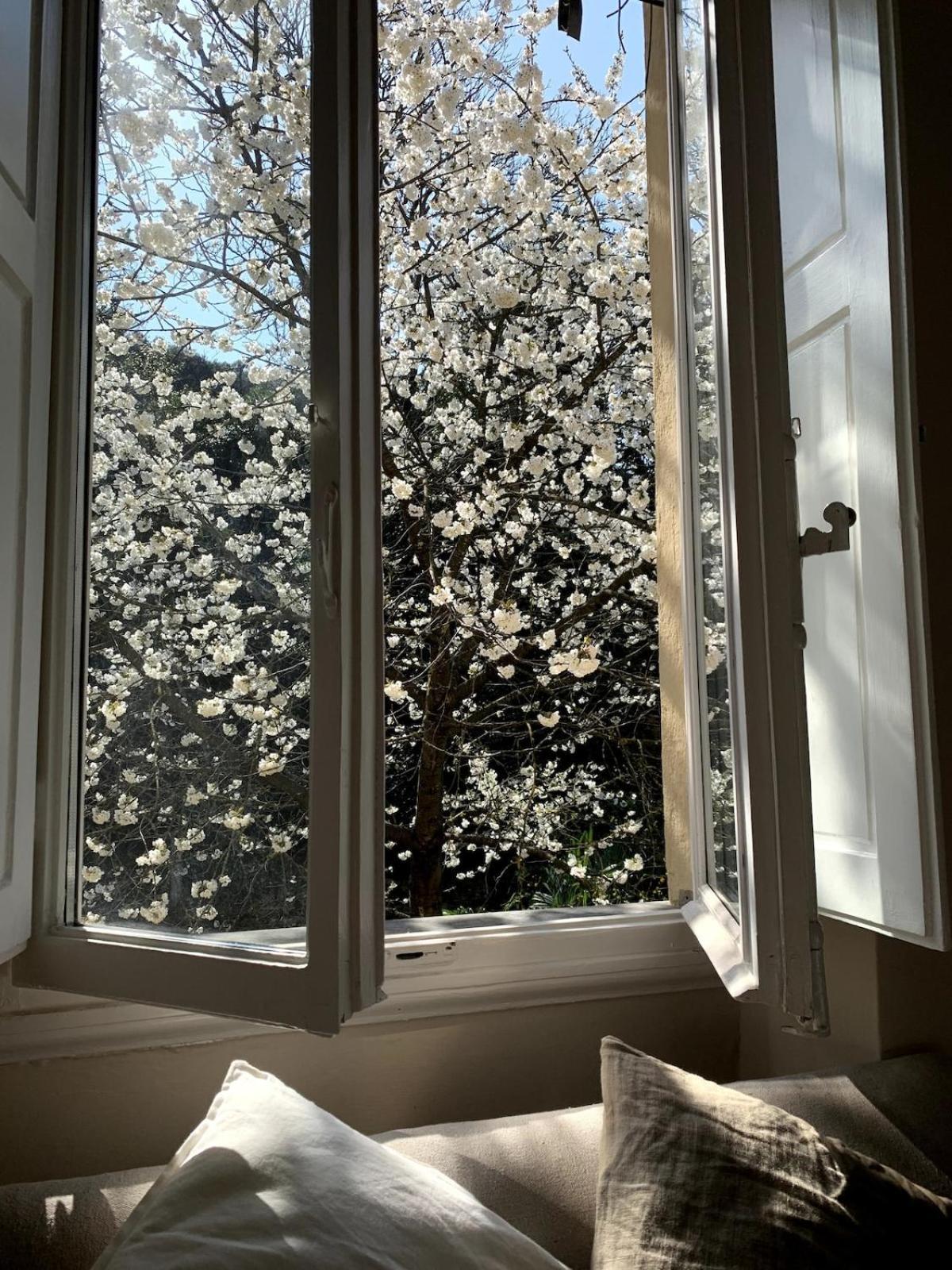 Surrounded By Greenery In The Heart Of Appartamento Firenze